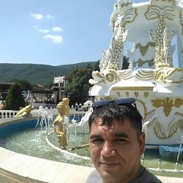 �����, ������, 41 ���