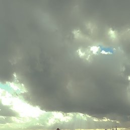 ���, ����, 41 ���