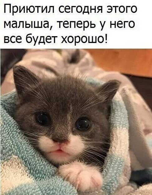 ? ,  ! - 4  2025  12:35