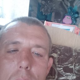 , 36, 