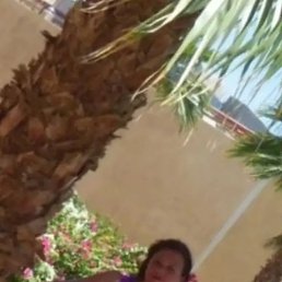 �����, ������, 49 ���