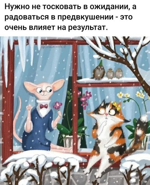 ₪╬═►  ||  ||  ◄═╬₪ - 2  2024  14:00