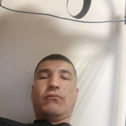 , 33, 