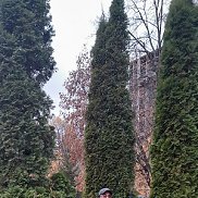 Marat, 66 ���, �������