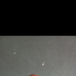 , 42, 
