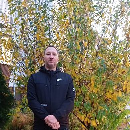 �������, 38 ���, ��������