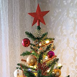 ���� ����, ������ - ��������� 1 ������ 2026