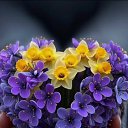 ���� �������, ������ - ��������� 26 ������ 2026 � ������ ������ ��������