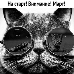 �������, ���������