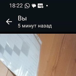 ��������, ������, 54 ����