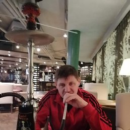 ������, 49 ���, ������