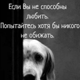 Dima, ������-���, 44 ����