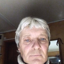 , 65, 