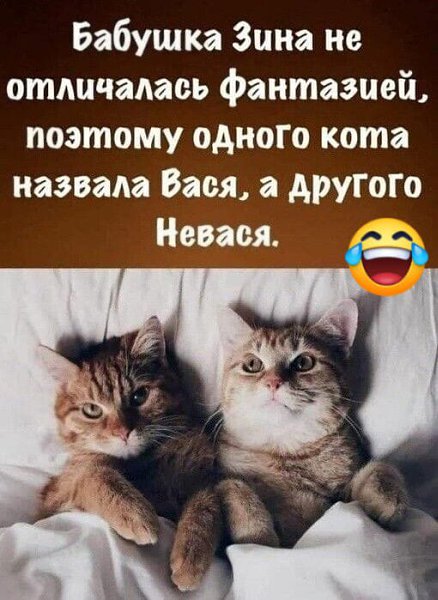 - 5  2024  16:03