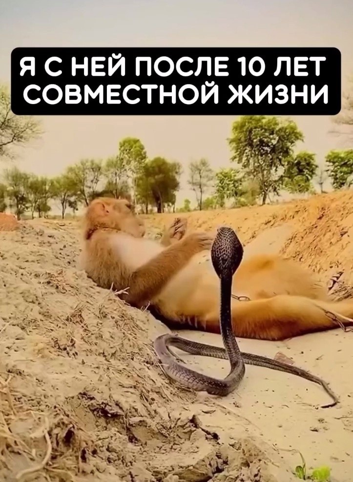     - 2