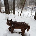 ���� ���������, ������������ - ��������� 28 ������ 2025 � ������ ���� ����������