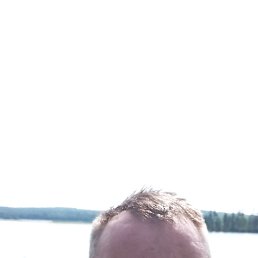 ., 47 , 