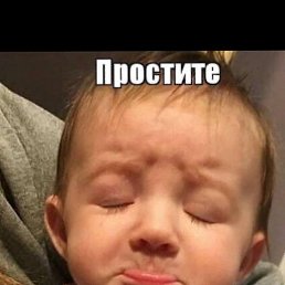 ���� ������, ������������, 49 ��� - ��������� 10 ������ 2026