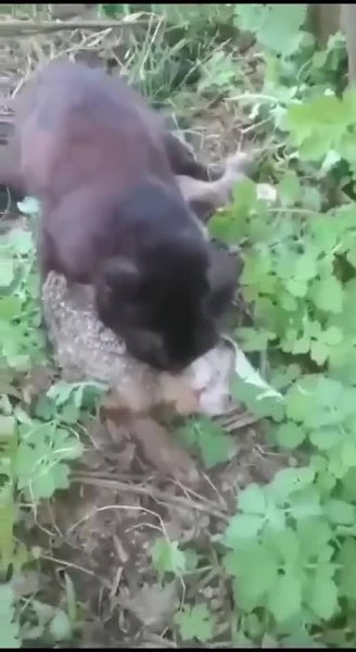 ����� ����������� ���� � � �������� ������� - 2