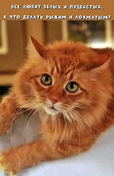 �� ����� ������! - 31 ������� 2024 � 10:44