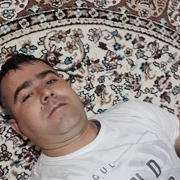 ����, �����-���������, 41 ���