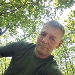 , 37, 