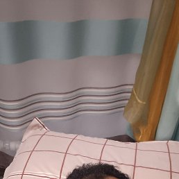 �����, 40 ���, ������