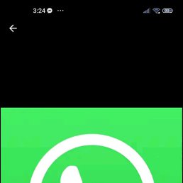 Wafink, �����, 31 ���