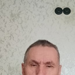 , 61, 