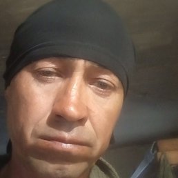 �������, ���������, 46 ���