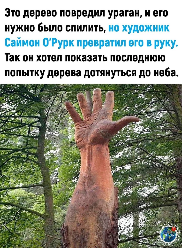  |  |   5 - 15  2024  18:19