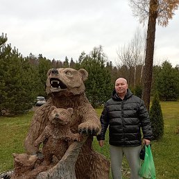 , 46, 