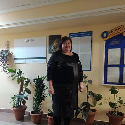 , 50, -