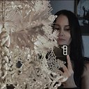 ���� �������, ���������, 56 ��� - ��������� 8 ������ 2026 � ������ ���� ����������