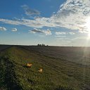 ���� ��������, �����-���������, 19 ��� - ��������� 15 ��� 2025 � ������ ���� ����������