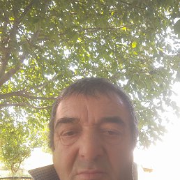  , 66, 