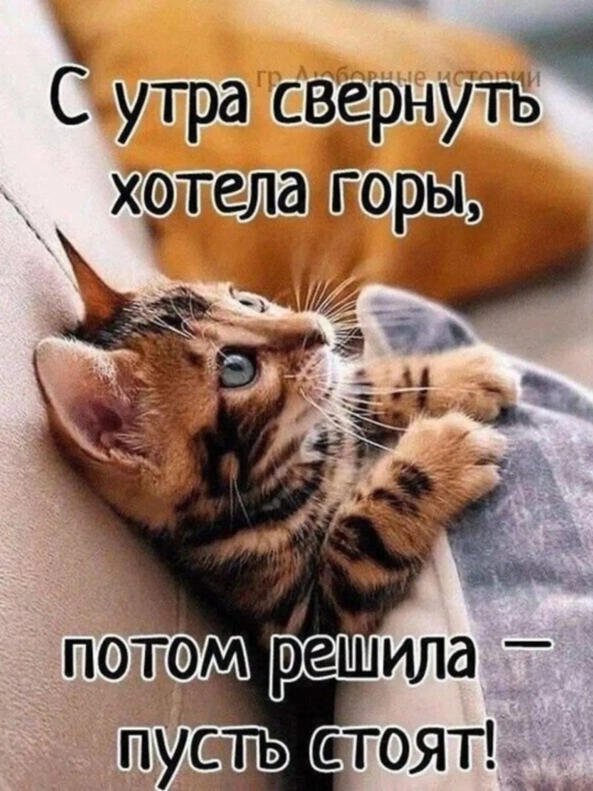  - 16  2024  21:30