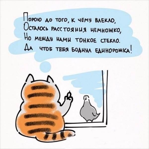  - 7  2025  15:51