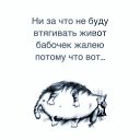 ���� ��������, ������ - ��������� 5 ���� 2025 � ������ ���� ����������