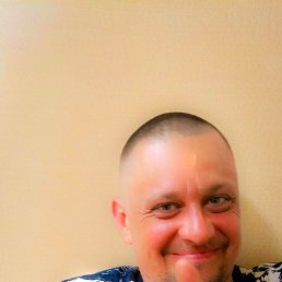 , 41, 