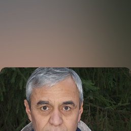 , 65, 