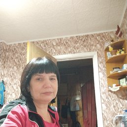 , 58, 