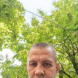 , 44, 