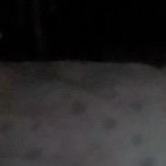 , 39 , 