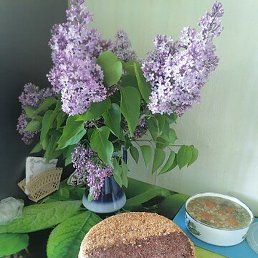 �������, ������, 60 ���