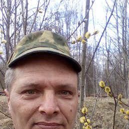 ������, 53 ����, �����