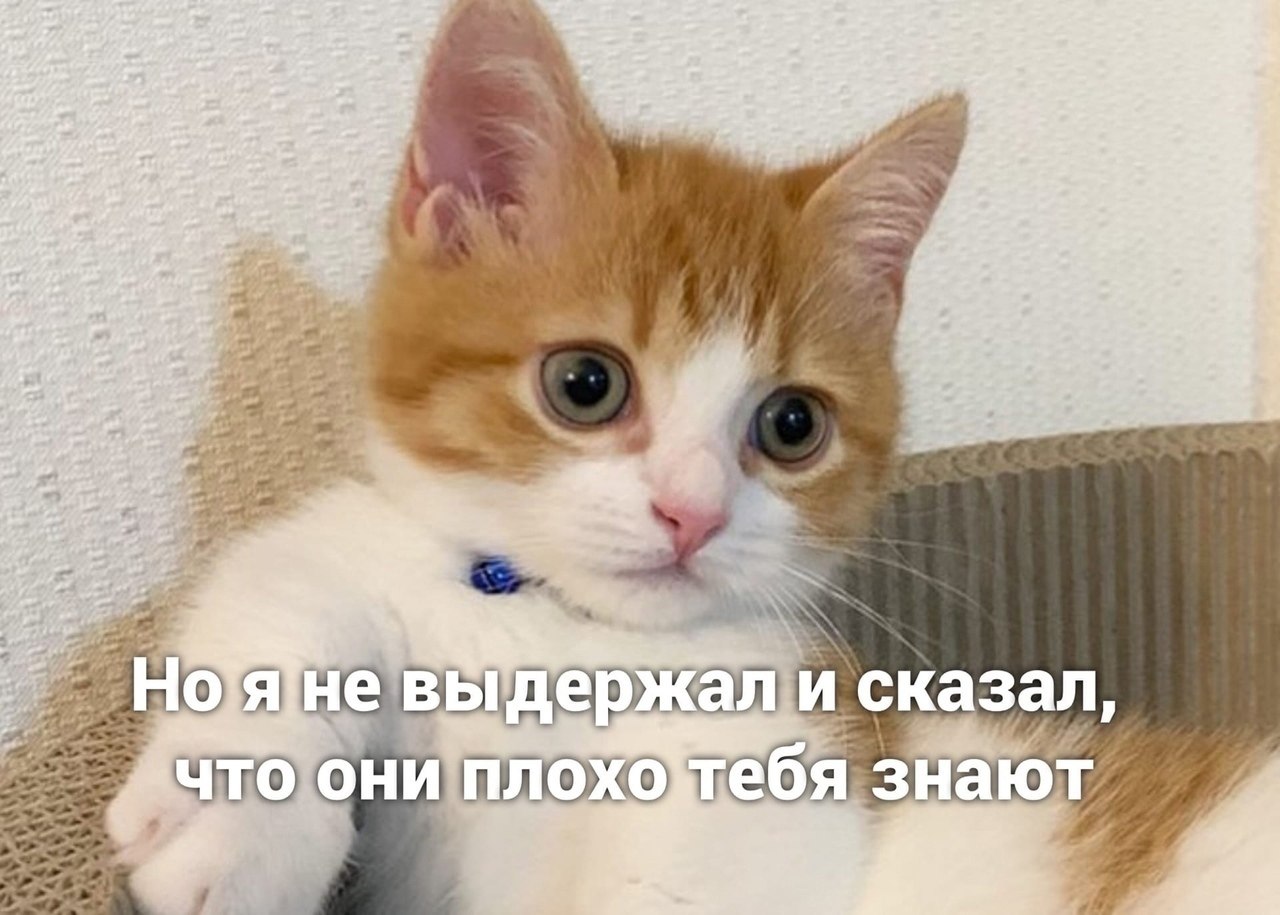 ���� � �� �������� - 3