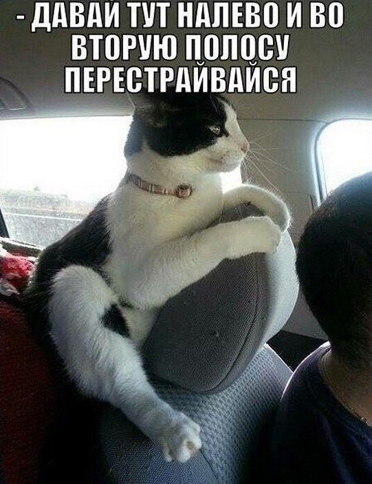 ? ,  ! - 9  2025  16:41