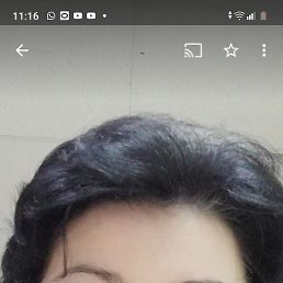 �����, ���, 61 ���