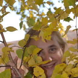 Verli, 65, -